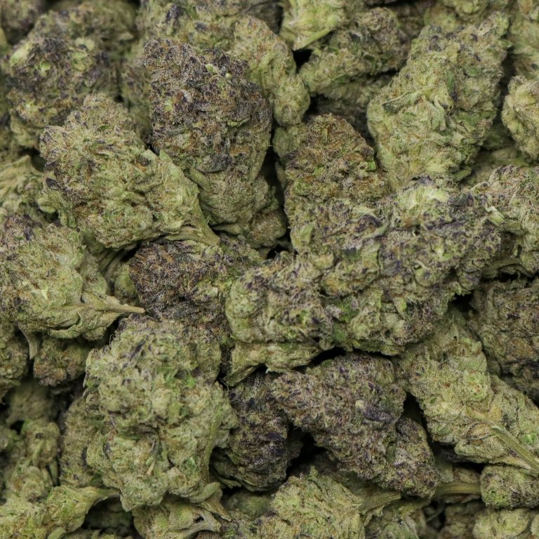 Frosted Gelato - Image 2