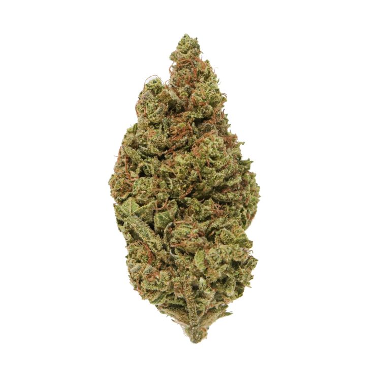 gushmintz strain