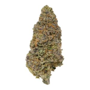 zootopia strain​