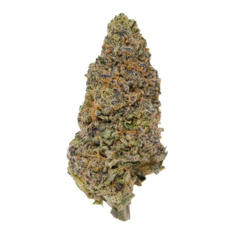 zootopia strain​