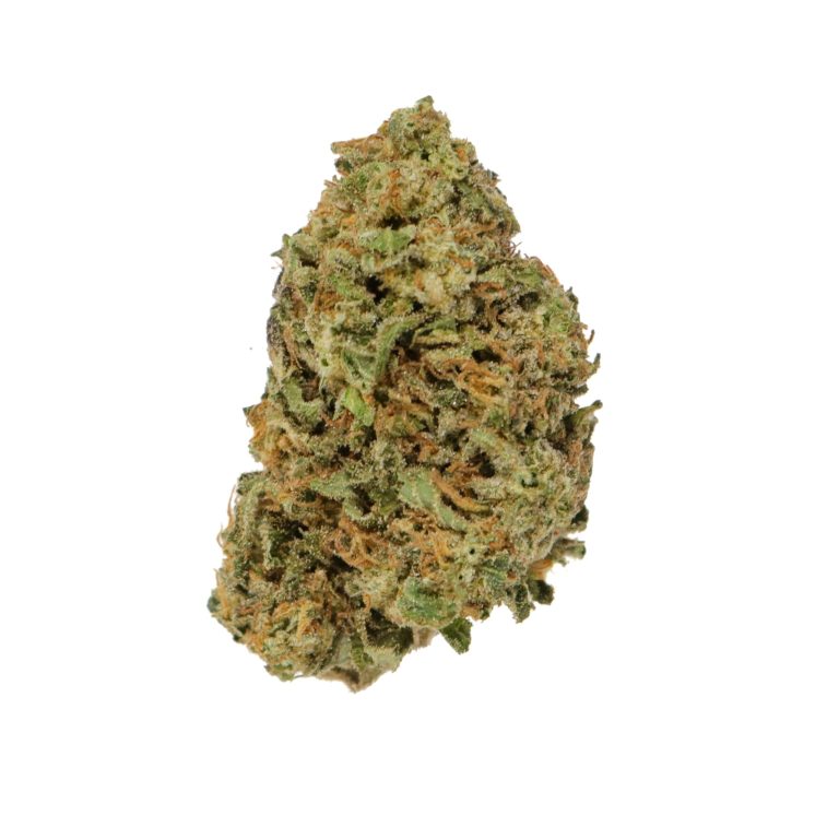 governmint oasis strain​