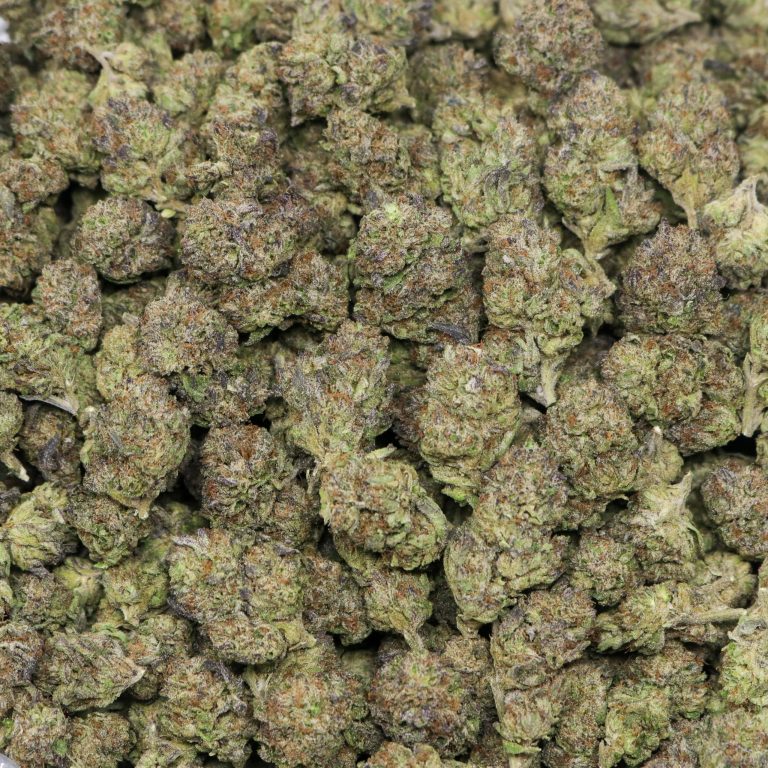 Rainbow Sherbert - Image 2