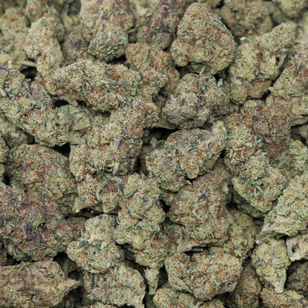 italian ice strain