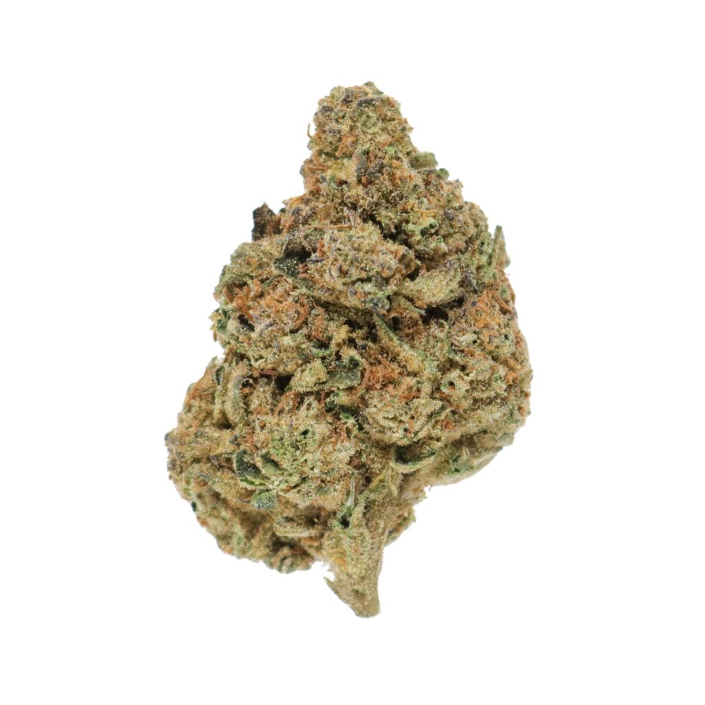 italian ice strain