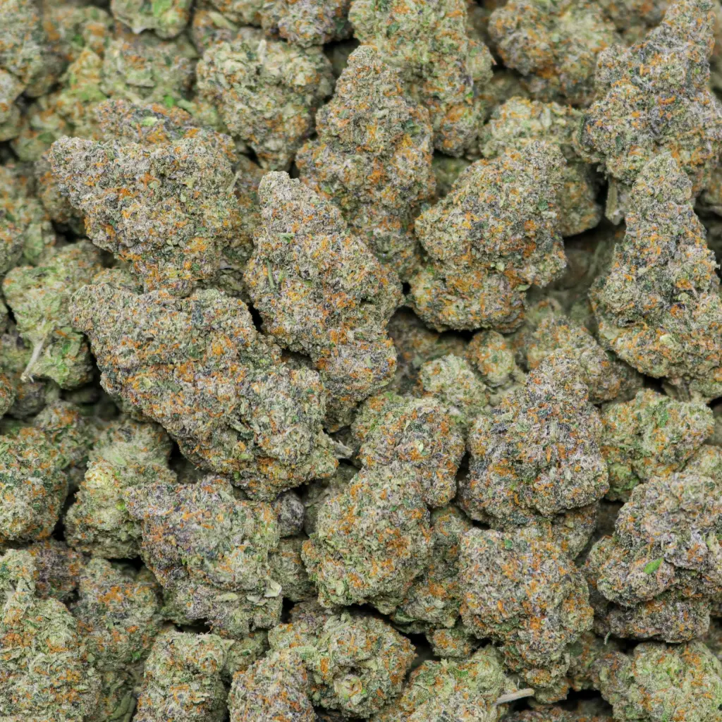 bacio gelato strain