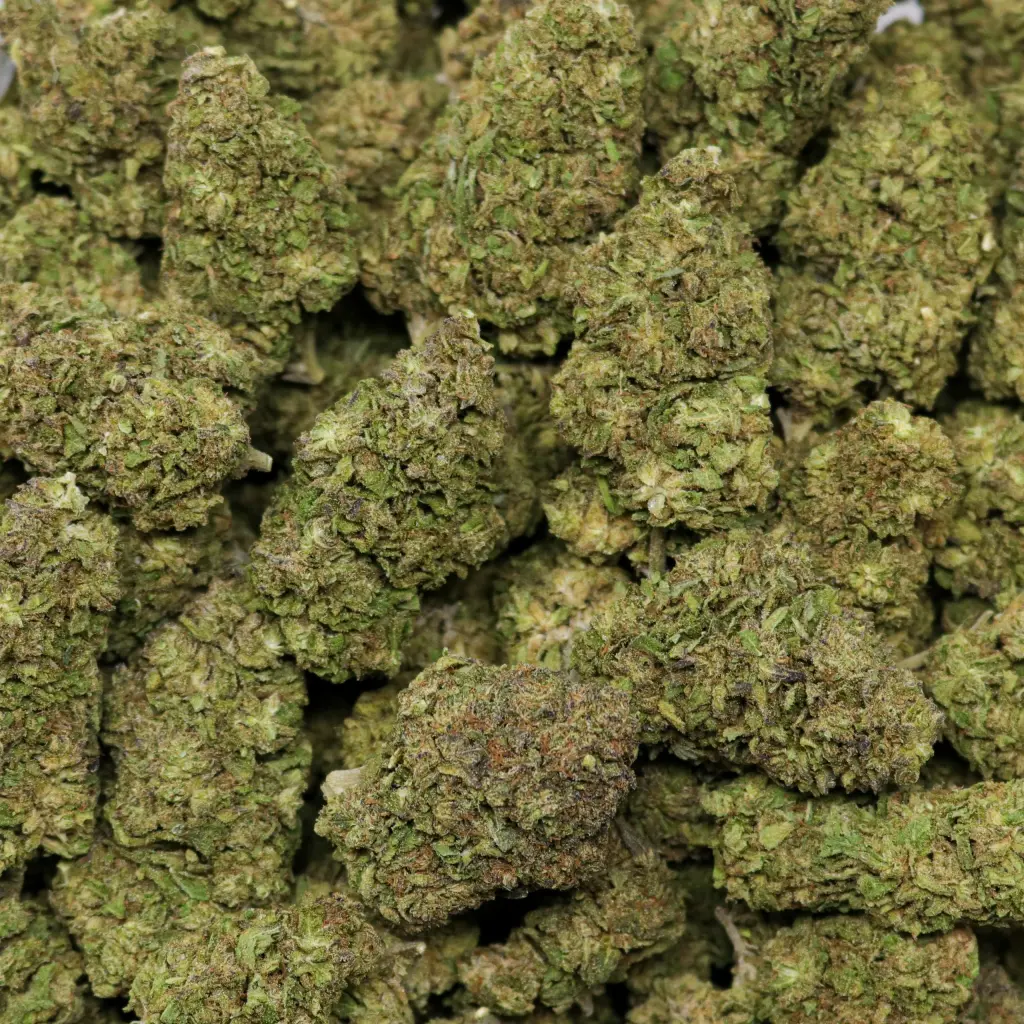 Gelato 33 - Image 2
