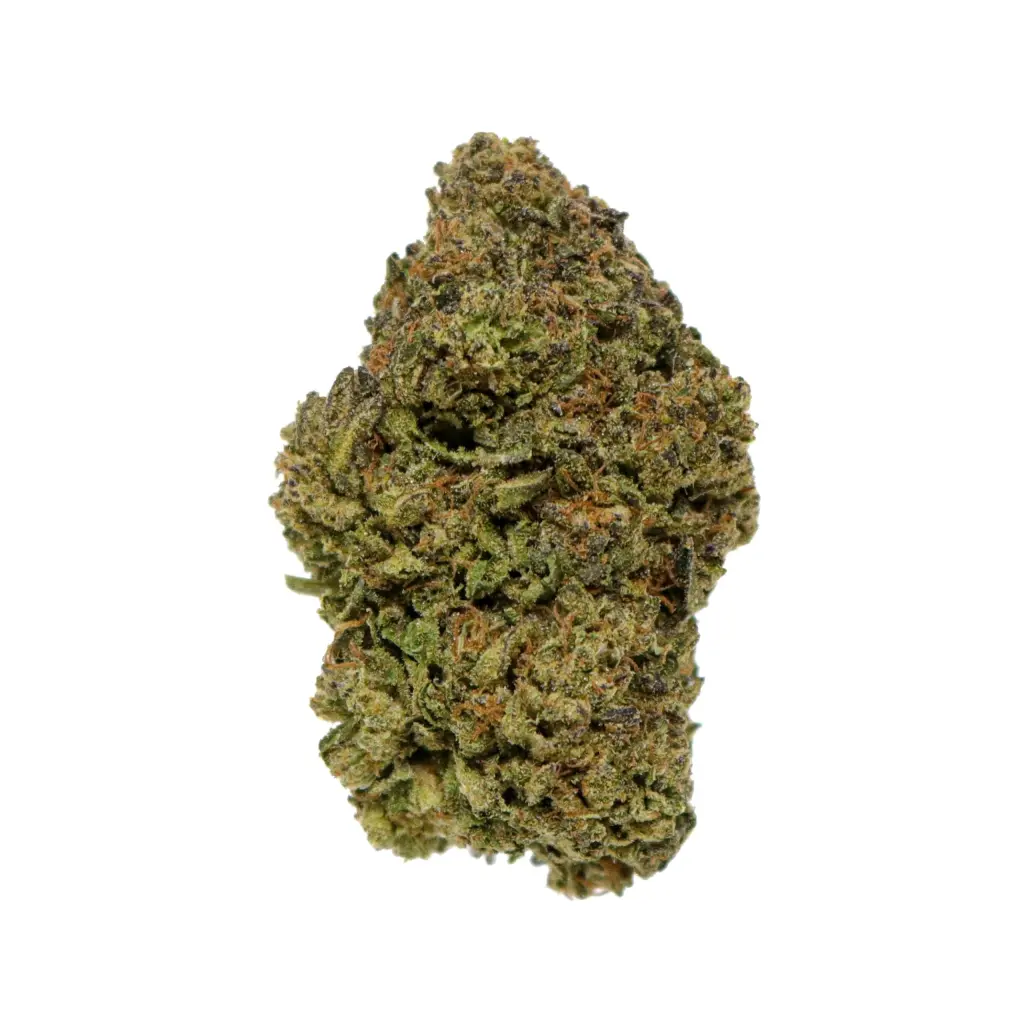 Gelato 33