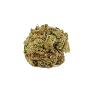 Gelato 47 Smalls