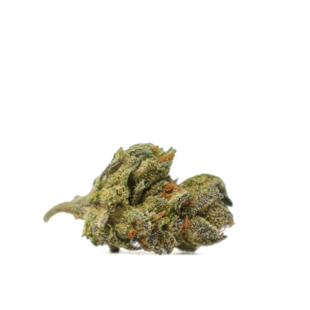 Lemon Cherry Gelato(smalls )