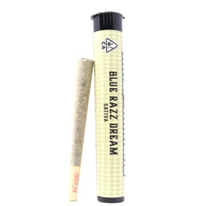 Mad Rippers Pre-Roll (1g) – Blue Razz Dream
