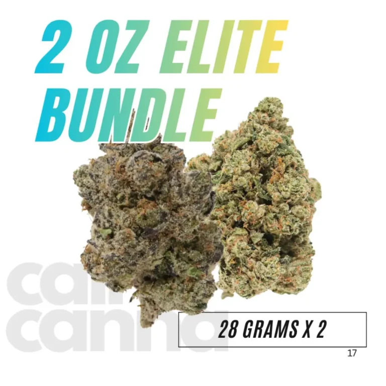 QP-Exotic-1024x1024