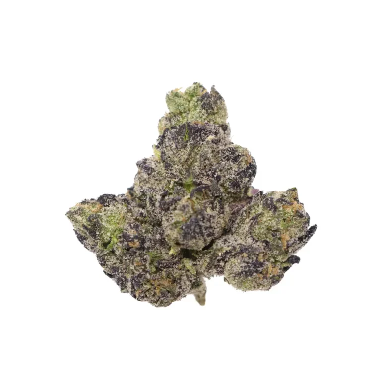 moberries3-1024x1024