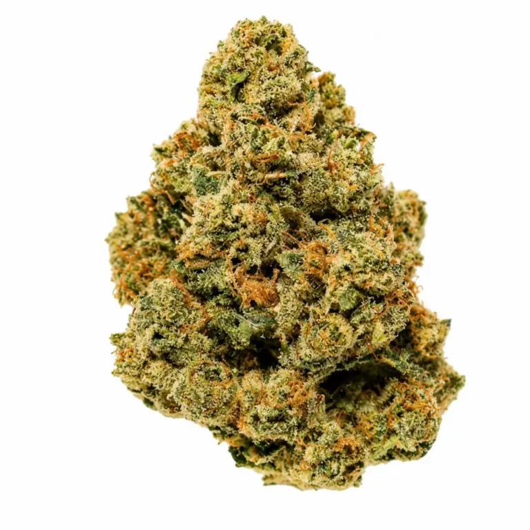trueog2-1024x1024