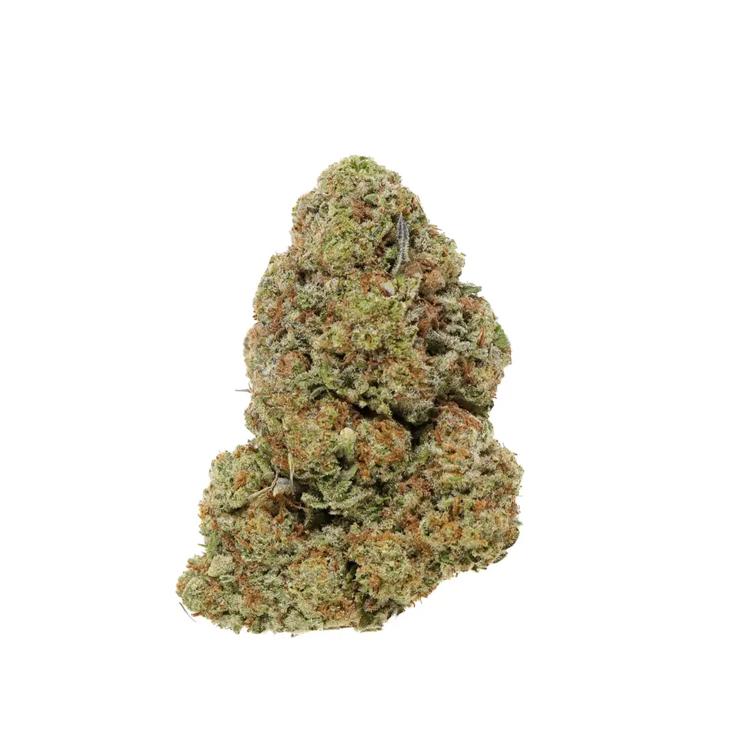 White truffle